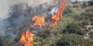 Φωτιά τώρα στην περιοχή της Νεάπολης Λακωνίας