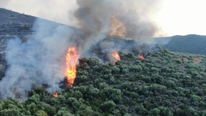 Φωτιά στη Ανατολική Μάνη στην περιοχή κοντά στον Πάλιρο