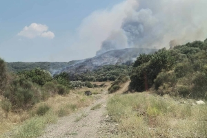 Έκτακτο - Φωτιά τώρα λίγο έξω από την Σπάρτη