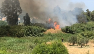 Φωτιά στην νέα είσοδο της Σπάρτης (video)