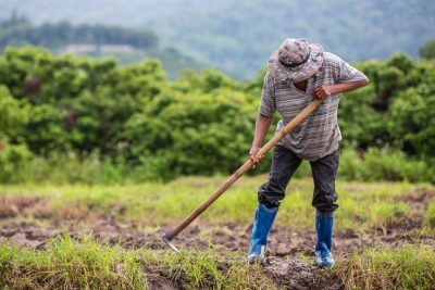 Αντώνης Λυμπέρης: «Άμεση καταγραφή των ζημιών και καταβολή των αποζημιώσεων στους πληγέντες αγρότες της Αργολίδας»