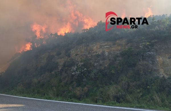 Πυρκαγιά σε δασική έκταση κοντά στην Μονεμβασιά (video-photo)