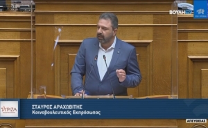 Στ. Αραχωβίτης για τα ζώα συντροφιάς: “H αλαζονεία της Κυβέρνησης και η εξυπηρέτηση συγκεκριμένων ομάδων την αφήνουν κοινωνικά απομονωμένη”