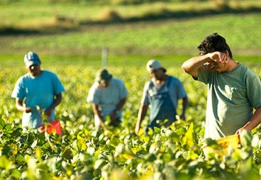 Δαβάκης: Νέα εξέλιξη για τους εργάτες γης