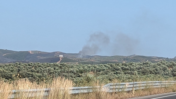 Έκτακτο - Αναζωπύρωση τώρα στο Δαφνί Λακωνίας