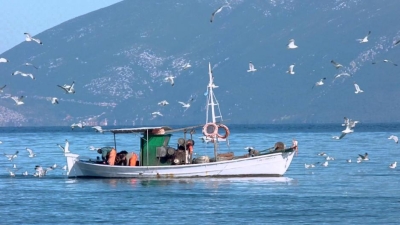Στ. Αραχωβίτης: «Πρώτη  προτεραιότητα η διασφάλιση του εισοδήματος των ψαράδων»
