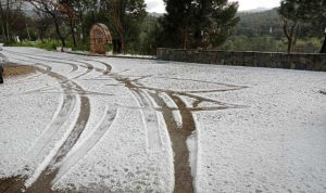 Εως 18 Φεβρουαρίου οι αιτήσεις για ζημιές απο παγετό και χαλάζι