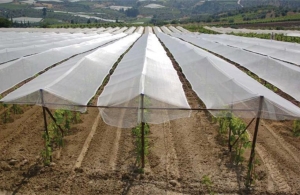 Παράταση ως τον Ιούνιο για αιτήσεις ένταξης στο μέτρο της ενεργητικής προστασίας