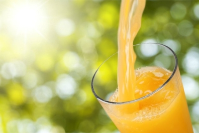 Επιμελητήριο Λακωνίας: &quot;Διατηρείται  η  συνδεδεμένη  ενίσχυση  για  τα  πορτοκάλια  χυμοποίησης&quot;