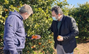 Στ. Αραχωβίτης: Ο ΕΛΓΑ στο πλευρό των παγετόπληκτων, έγκαιρα, αποτελεσματικά και δίκαια