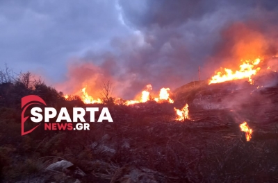 Έκτακτο : Μεγάλη φωτιά στην Ζαραφώνα Λακωνίας (video-φώτο)