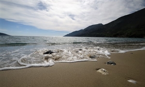 Τρεις γαλάζιες σημαίες για το Δήμο Ανατολικής Μάνης