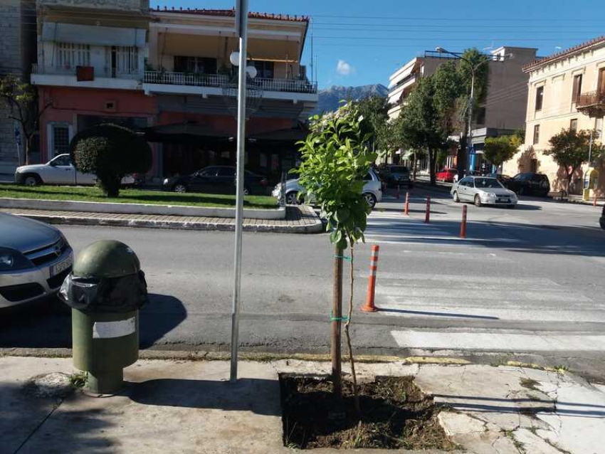 Φύτευση νέων δένδρων, θάμνων και φυτών/λουλουδιών, προχωρά ο Δήμος Σπάρτης
