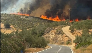 Φωτιά στην Παντάνασσα του Δήμου Μονεμβασιάς