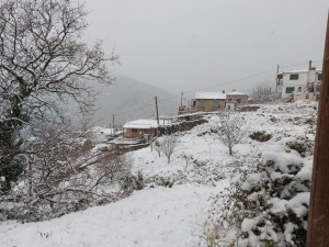 Ντύθηκε στα λευκά και η Άρνα