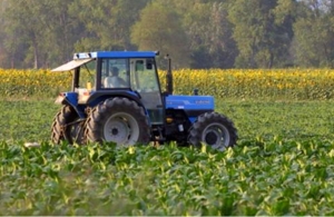 Αγροτοκτηνοτροφικοί Συλλόγοι Λακωνίας : ¨ Ανησυχία για το μέλλον του αγροτικού κλάδου μετά τις εξαγγελίες του πρωθυπουργού στη ΔΕΘ¨